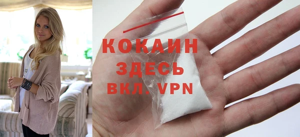 дживик Вязьма