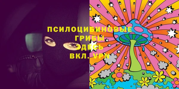 ГАЛЛЮЦИНОГЕННЫЕ ГРИБЫ Вяземский