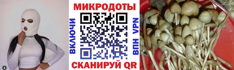 Галлюциногенные грибы мицелий Ершов